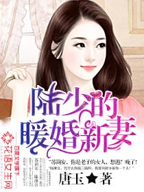 陆少的暖婚新妻 纵横小说